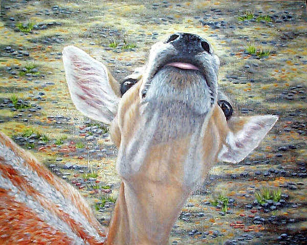 More Please by Beverly Fuqua More Please by Beverly Fuqua
